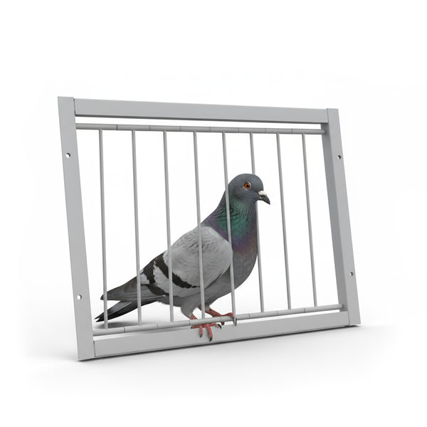 Usa pentru porumbei cu bare de metal (cadru de intrare) 30 cm
