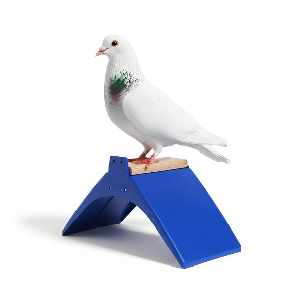 Odihnitor porumbei model 2 (lemn)