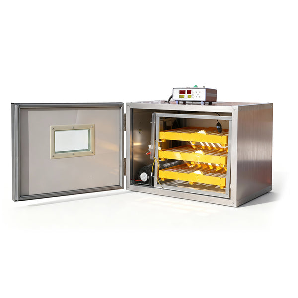 Incubator profesional MS-180 (12V/220V)