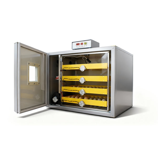 Incubator profesional MS-240 (12V/220V)