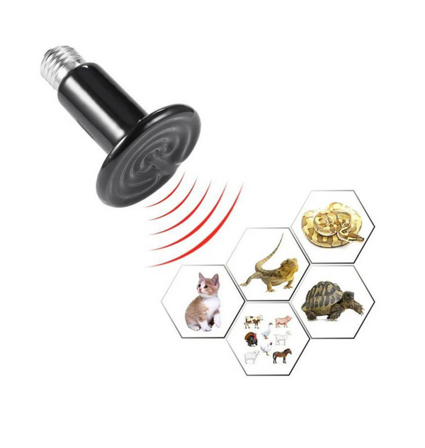 SET 10 BUC Bec infrarosu NEGRU ceramic 200W emitator de caldura pentru pui de pasari si animale de companie