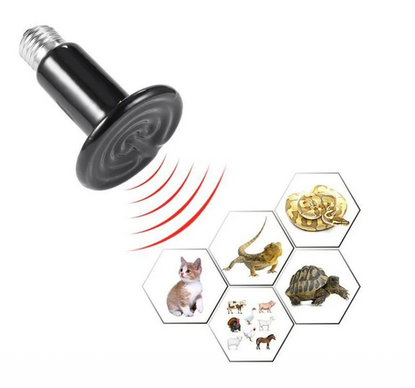 SET 10 BUC BEC INFRAROSU NEGRU CERAMIC 150W EMITATOR DE CALDURA PENTRU PUI DE PASARI SI ANIMALE DE COMPANIE