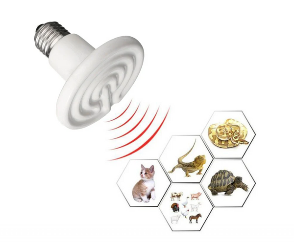 SET 10 BUC BEC INFRAROSU ALB CERAMIC 50W EMITATOR DE CALDURA PENTRU PUI DE PASARI SI ANIMALE DE COMPANIE