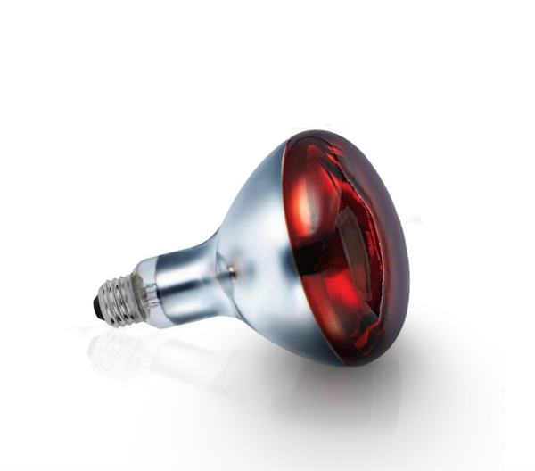 Set x10 Bec infrarosu cu varful rosu inchis (putere 100 W)