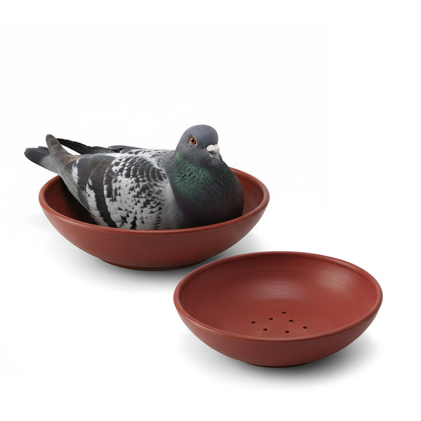 Cuibar porumbei Rosu