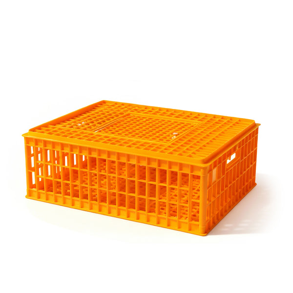 Lada (cusca) transport pasari si animale mici galbena