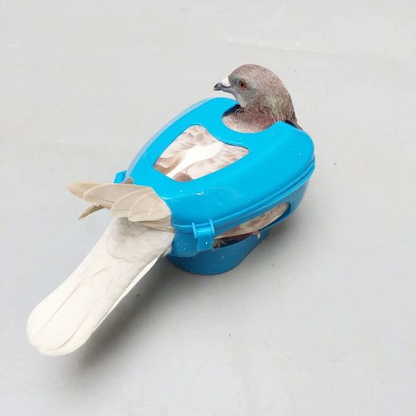 Suport fix pentru porumbei- hranire