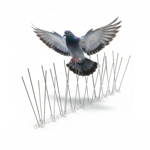 Banda cu tepi anti pasari, porumbei Set 10 bucati